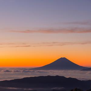 91美女在线视频
