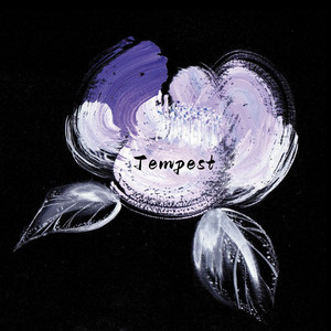 91美女在线视频
