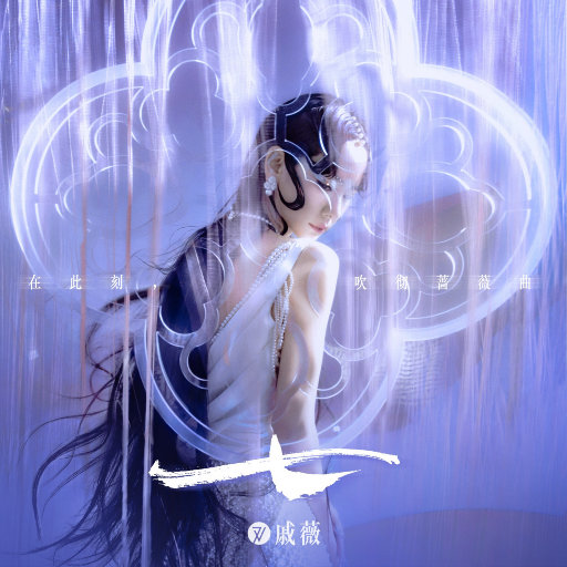 91美女在线视频
